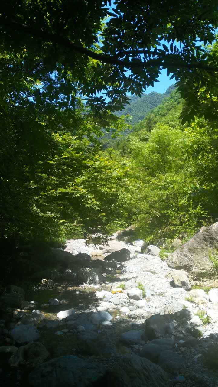 QQ图片20170615103650.jpg