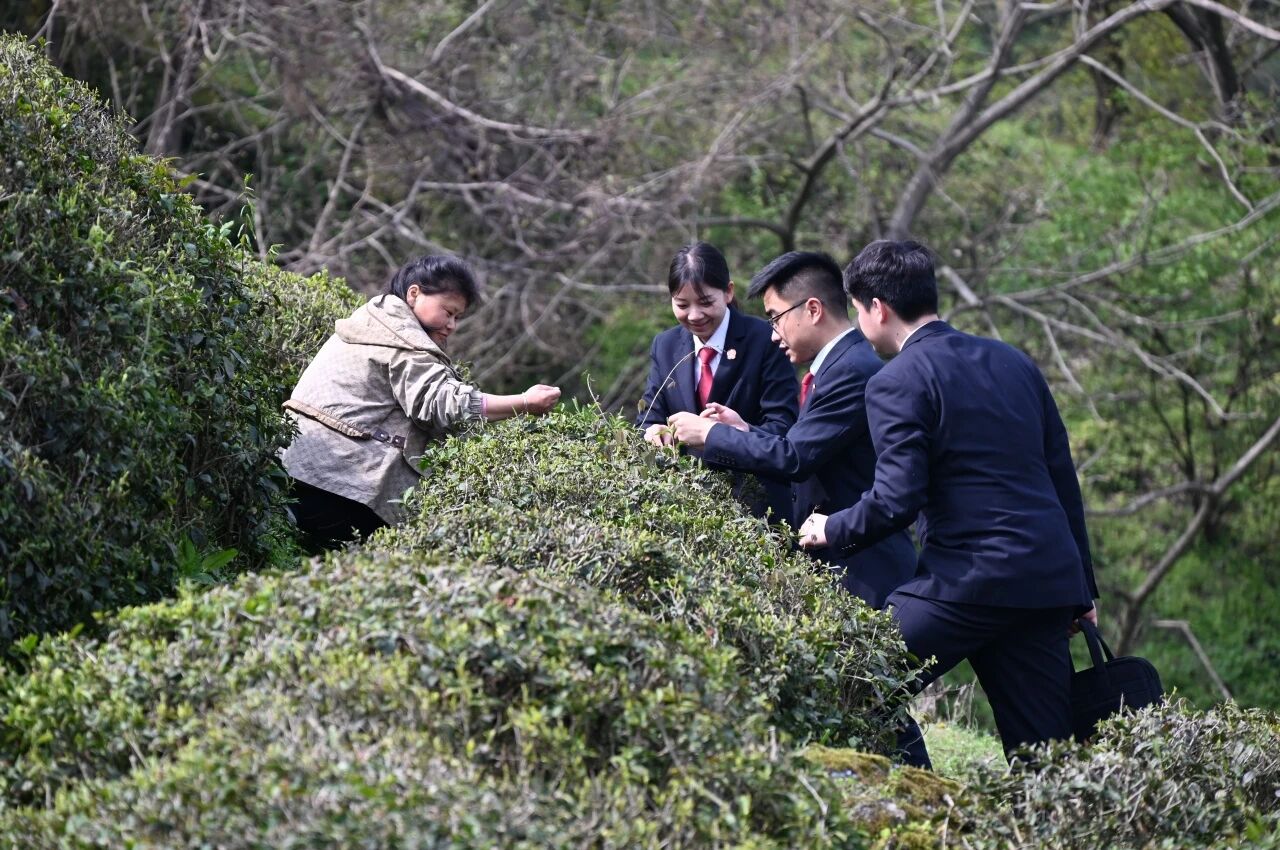 微信图片_2026-04-02_153025_067.jpg